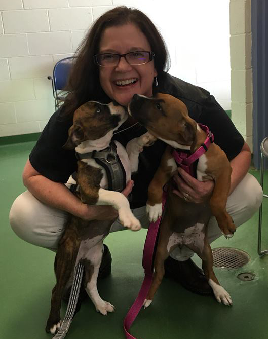 Smiling woman with glasses hugging 2 dogs while they lick her